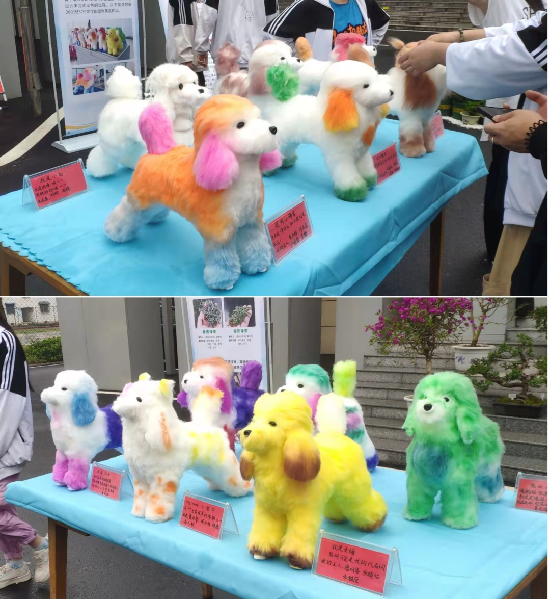 1655084784839851.png 1.png