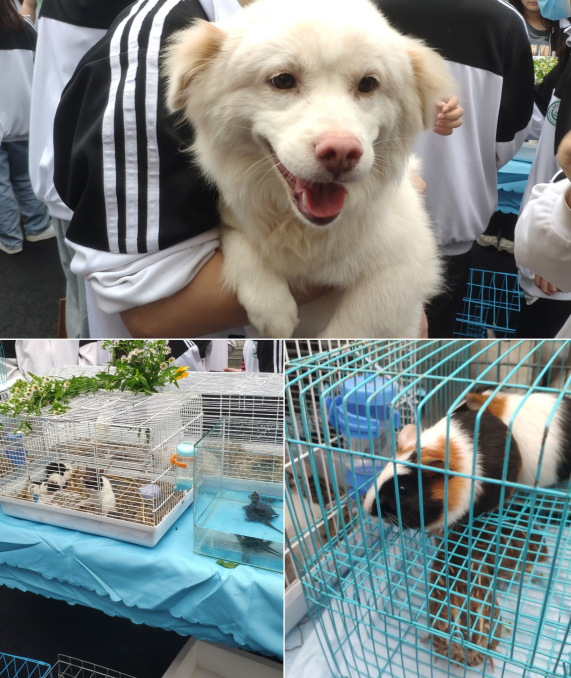 1655084795148846.png 2.png