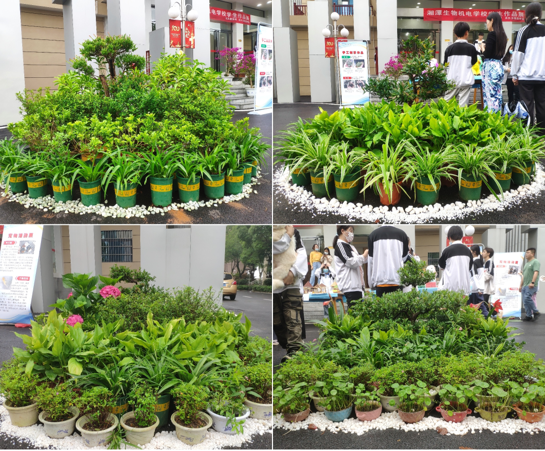 1655084813139762.png 4.png